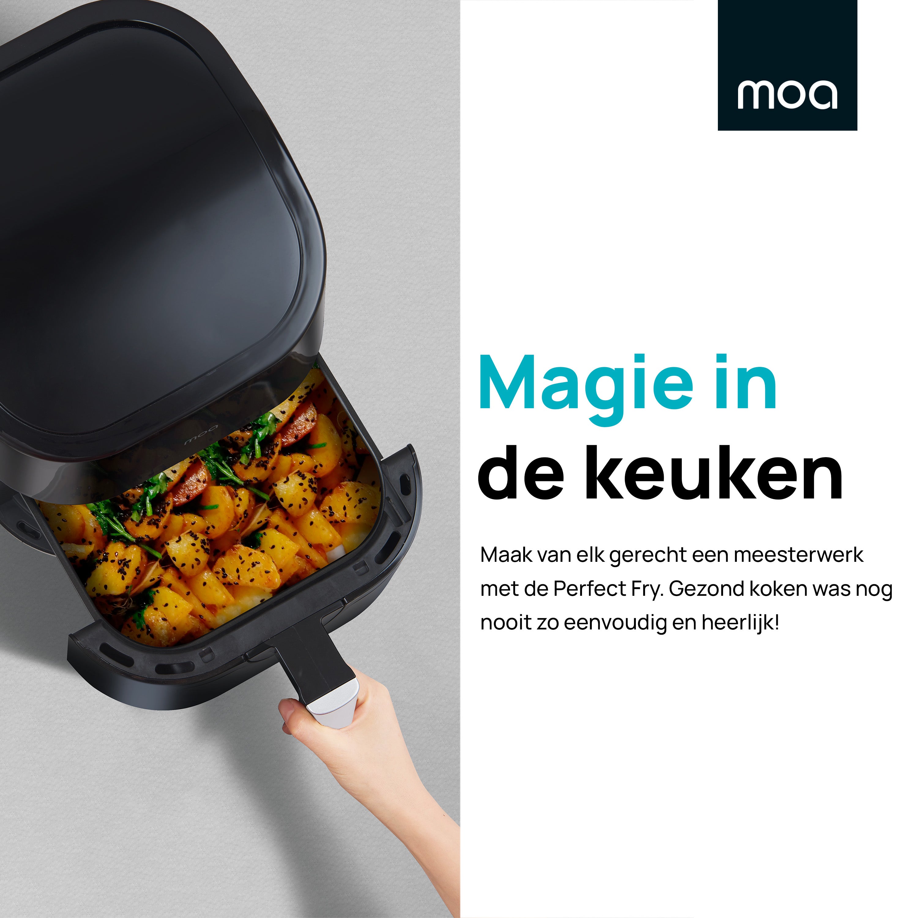 MOA Heteluchtfriteuse - PFS5