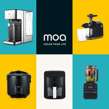 MOA Heteluchtfriteuse - PFS5