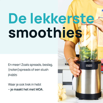 MOA Mini Blender - Stainless - MB02