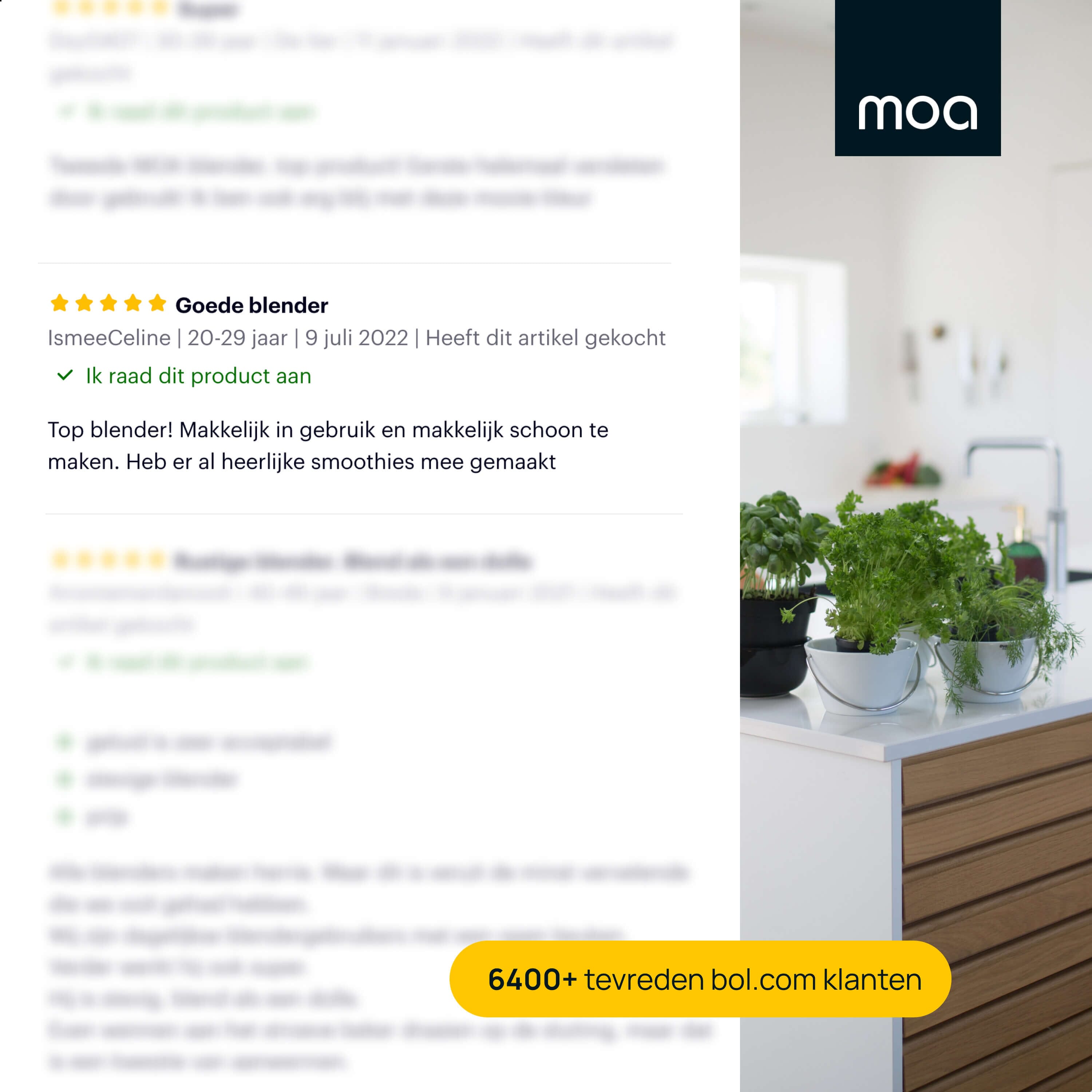 MOA Blender - Champagne - TB61C